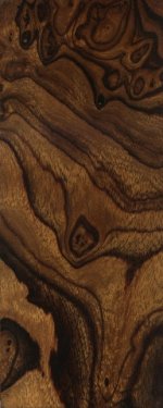 ironwoodvk 006 Mittlere Webansicht.jpg