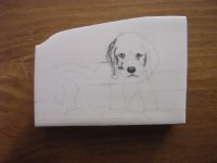 hund_1_800x600.JPG