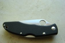 spydie6.JPG