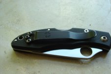 spydie5.JPG