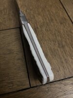IMG_4675.jpeg