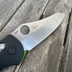 IMG_2333.jpeg