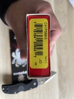 IMG_2999.jpeg