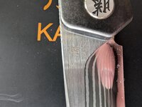 PXL_20240708_134321098.RAW-01.COVER.jpg