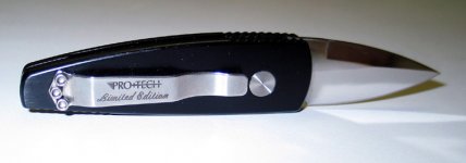 Stinger Limited Back.jpg