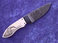 dachs 017.jpg