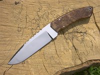 Schalenwild 1 008.jpg