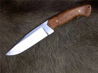HW Mod1 005.jpg