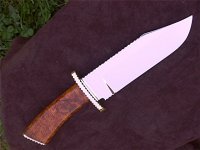 Vollstrecker 001.jpg