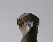 Bohrer2.jpg