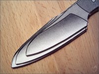 dimidia_x_01.jpg