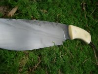 CIMG4728.jpg