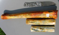 kudu-knochen.jpg
