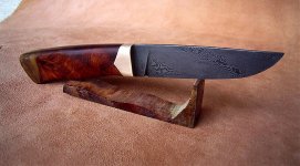 Torsion-Amboina4.jpg