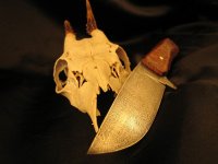 IMG_1958.jpg