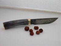 farbige hirsche 021.jpg