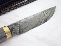 farbige hirsche 018.jpg