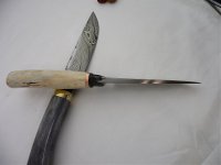 farbige hirsche 027.jpg