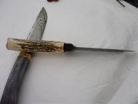 farbige hirsche 028.jpg