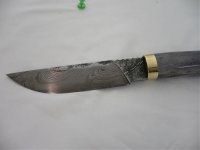 farbige hirsche 045.jpg