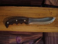5 skinner.jpg