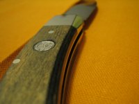 IMG_7375.JPG
