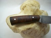 DetailGriffWüstdama.jpg
