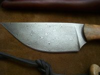 Stienen Damastdetail.jpg