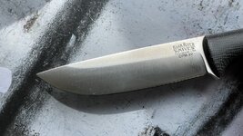 IMG_1794.jpg