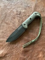 IMG_1842.jpeg