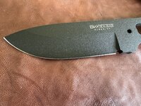 IMG_1815.jpeg