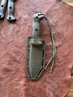 IMG_1846.jpeg