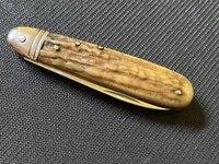 IMG_7753.jpeg