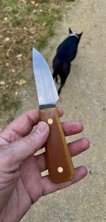 IMG_5703.jpeg