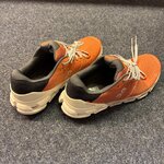 IMG_4388.jpeg