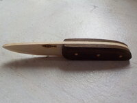 DSCN0050.JPG
