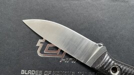 IMG_2852.jpg