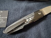 IMG_1544.jpeg