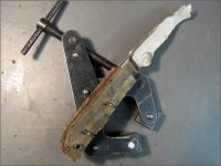 cc_muecke_011.jpg