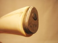 IMG_1459.jpg