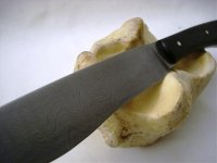 CIMG5399 2.jpg