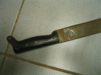IMG_3324.jpg