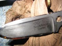 SwissB-3-1.JPG