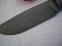 CIMG5608.jpg