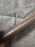 IMG_1579.jpeg