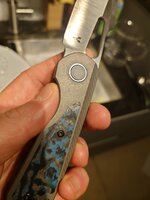20250222_231355.JPG
