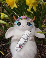 springsalemultitools.jpeg