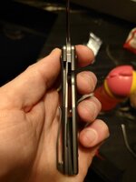 20250314_085927.JPG