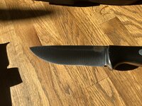 IMG_0455.jpeg