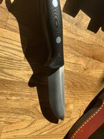 IMG_0456.jpeg
